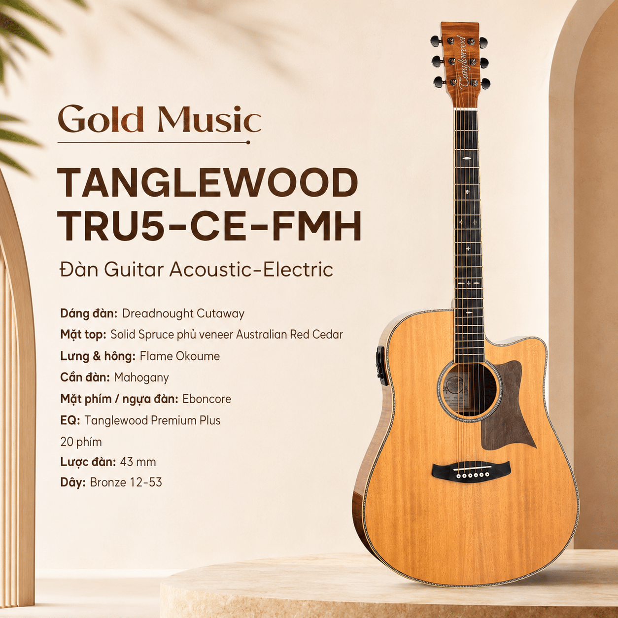 TANGLEWOOD TRU5-CE-FMH ĐÀN GUITAR ACOUSTIC tanglewood tru5 ce fmh dan guitar acoustic