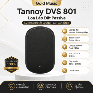 tannoy dvs 801 loa lap dat passive