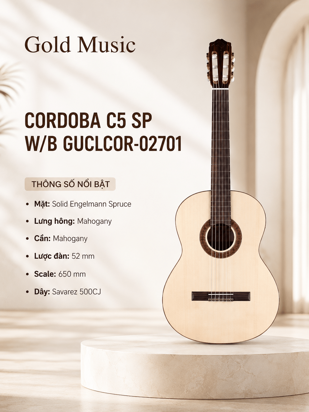 CORDOBA C5 SP W/B ĐÀN GUITAR NYLON GUCLCOR-02701 cordoba c5 sp w b guitar nylon