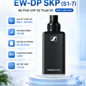 ew dp skp q1 6 2