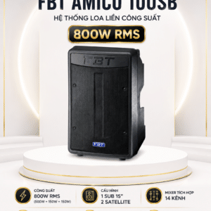fbt amico 10usb loa lien cong suat 800w 15inch
