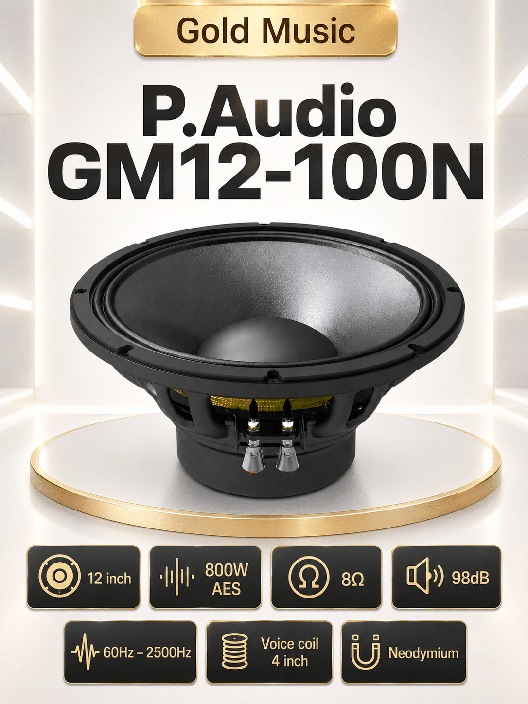 LOA RỜI P.AUDIO GM12-100N loa roi p audio gm12 100n