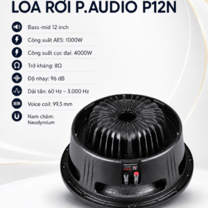 p audio p12n 1