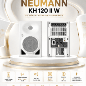 neumann kh 120 ii w loa kiem am 2 way 1