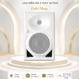 neumann kh 150 w loa kiem am 2way