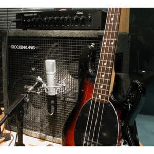 neumann tlm 193 micro thu am condenser 2