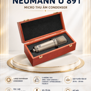 neumann u 89 i micro thu am condenser