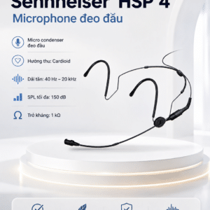 hsp 4 1
