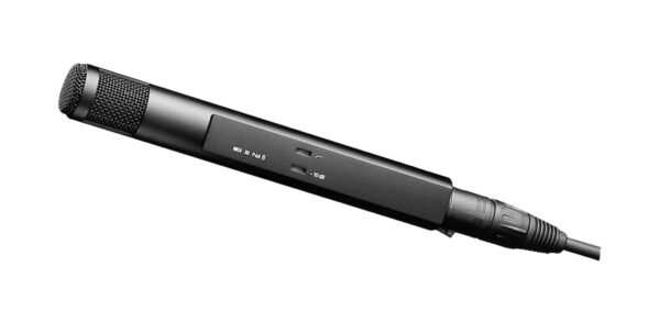 sennheiser mkh 30 p 48 micro shotgun