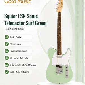 squier 0373450557 dan guitar dien fsr sonic