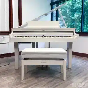 roland gp 6 piano ky thuat so