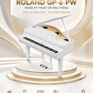 roland gp 6 piano ky thuat so 3