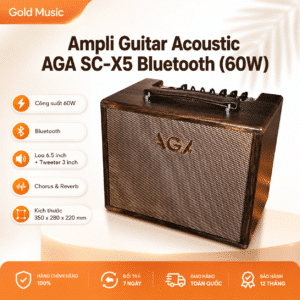 ampli guitar acoustic aga sc x5