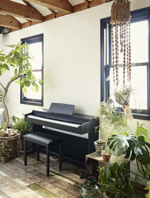 casio ap 270bk