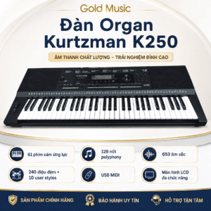 Đàn Organ Kurtzman K250 dan organ kurtzman k250