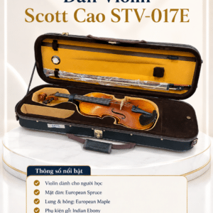 dan violin scott cao stv 017e 2
