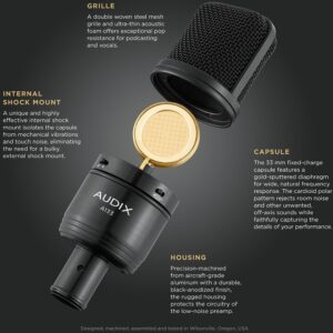 micro thu am audix a133 1