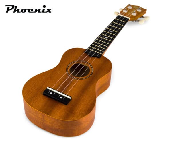 phoenix mg 009 ukulele concert 1