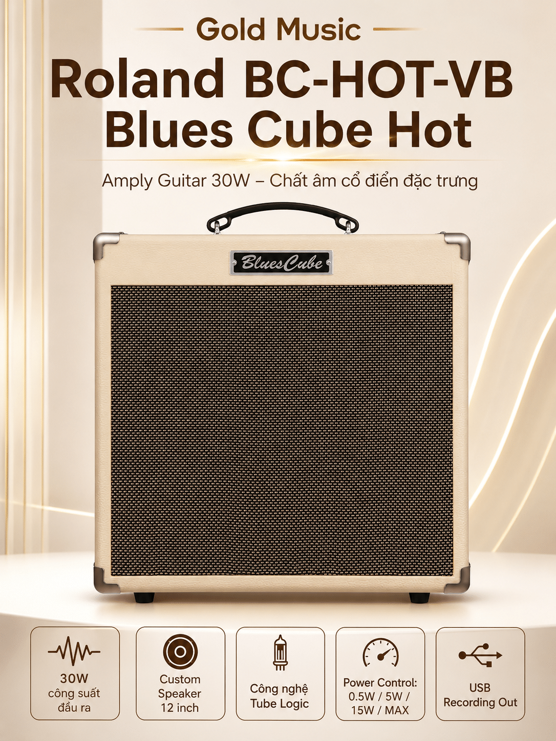 Roland BC-HOT-VB amply guitar chất âm cổ điển đặc trưng roland bc hot vb ampli guitar chat