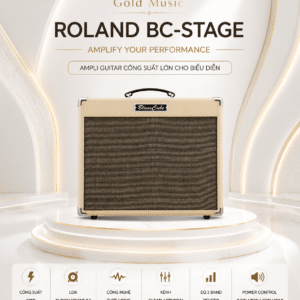 roland bc stage ampli guitar 3