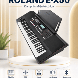 roland e x50 dan phim dien tu co loa 4
