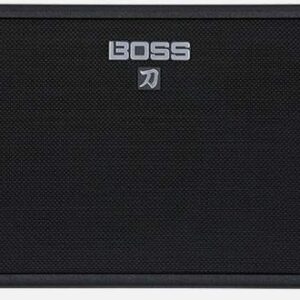 Roland KTN C112B loa guitar điện bass mạnh trung thực roland ktn c112b 1