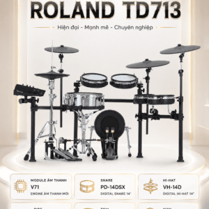 roland td713 trong dien tu 1