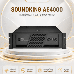 soundking ae4000