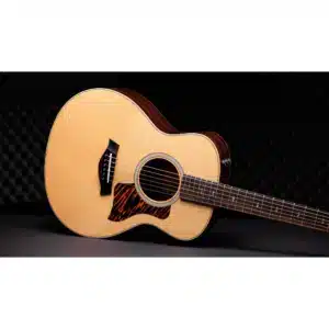 taylor GSMINI E RW NAT LTD 2
