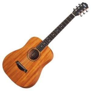 taylor bt2 dan guitar acoustic 1
