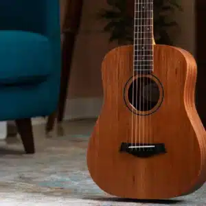 taylor bt2 dan guitar acoustic 2