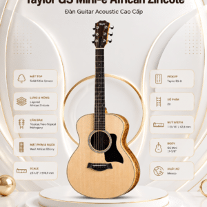 taylor gs mini e african ziricote 5