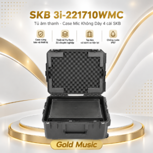 3i 221710wmc tu am thanh 5