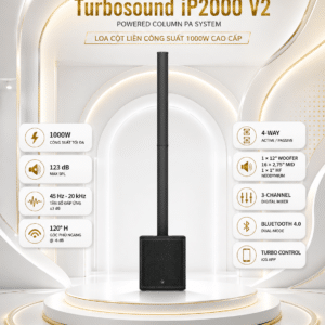 ip2000 v2 loa full 3