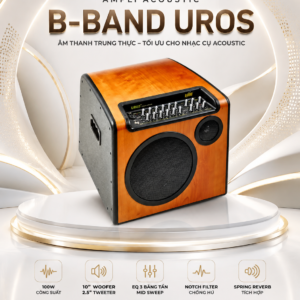 ampli acoustic b band uros