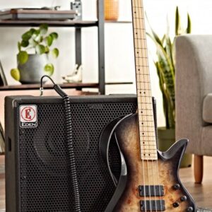 amply dan guitar bass eden ec210 e 1