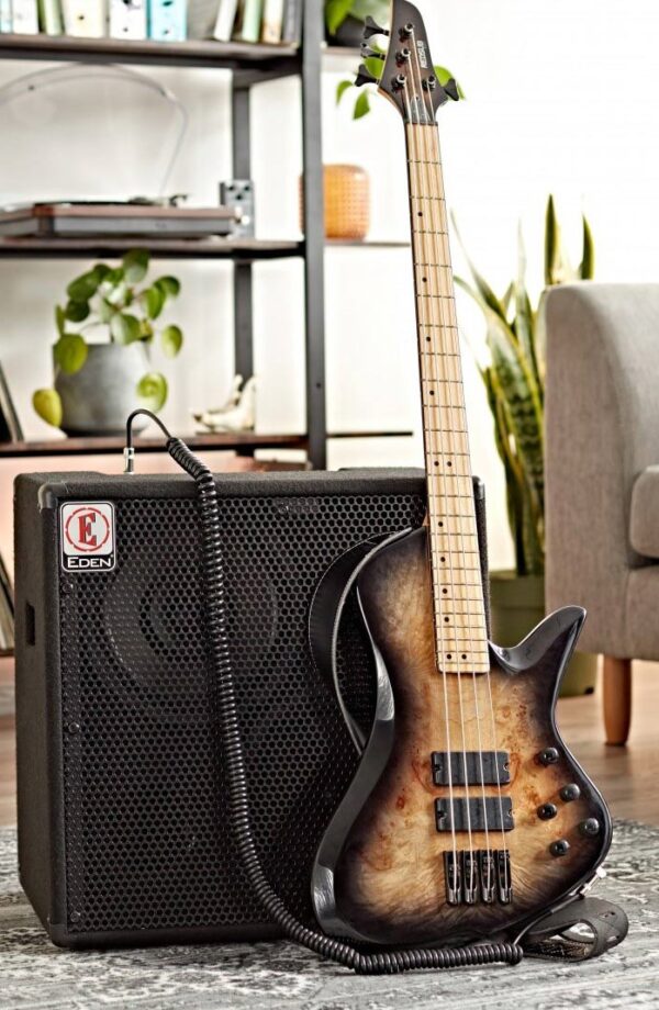 amply dan guitar bass eden ec210 e 1