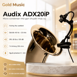 audix adx20ip micro nhac cu 2