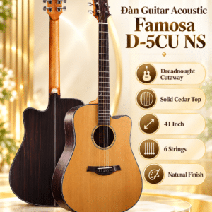 dan guitar acoustic famosa d 5cu ns