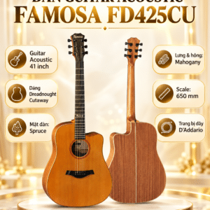 dan guitar acoustic famosa fd425cu