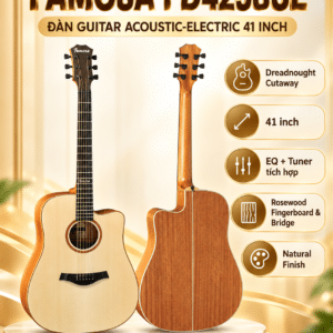 dan guitar acoustic famosa fd425s