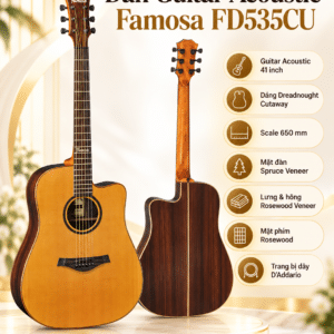 dan guitar acoustic famosa fd535cu