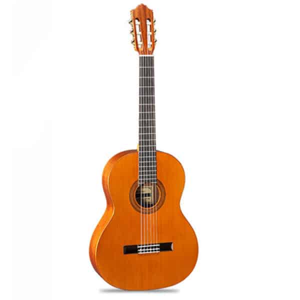 dan guitar classic famosa fc 20c 636 1