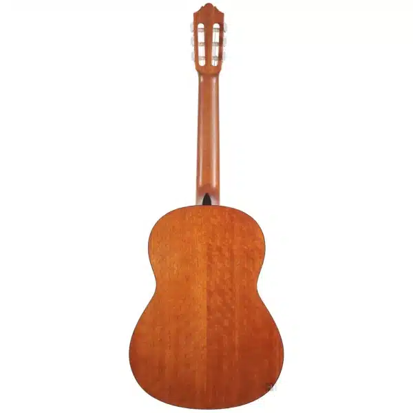 dan guitar classic yamaha cg142s 1