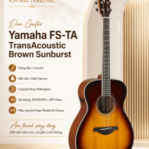 dan guitar yamaha fs ta transacoustic 3