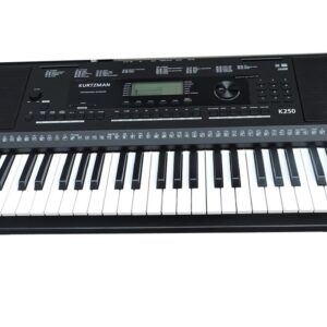 dan organ kurtzman k250 3