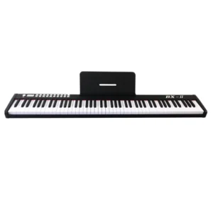 dan piano dien bora bx02 1