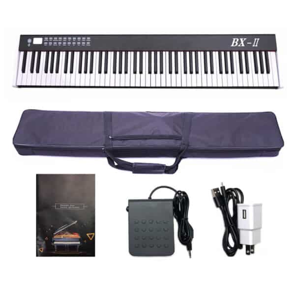 dan piano dien bora bx02 3