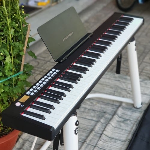 dan piano dien bora bx02 dan piano dien bora bx02