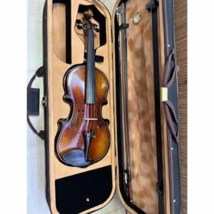 dan violin amati 1969 va111 1